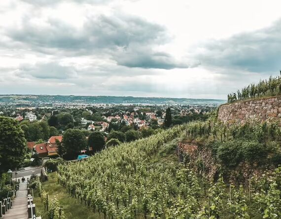 Immobilienmakler Radebeul – Wohnen in den Weinbergen