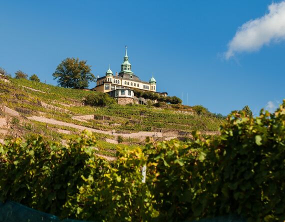 Immobilienmakler Radebeul – Wohnen in den Weinbergen