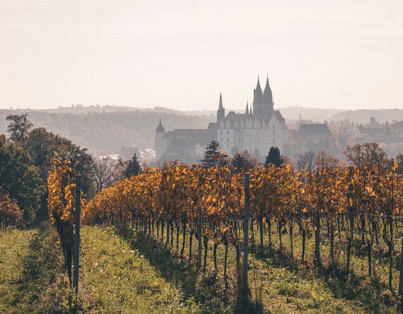 Immobilienmakler Meißen – Wohnen nahe Albrechtsburg