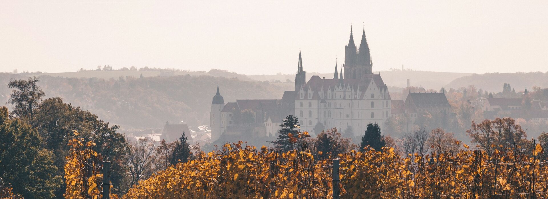 Immobilienmakler Meißen – Wohnen nahe Albrechtsburg