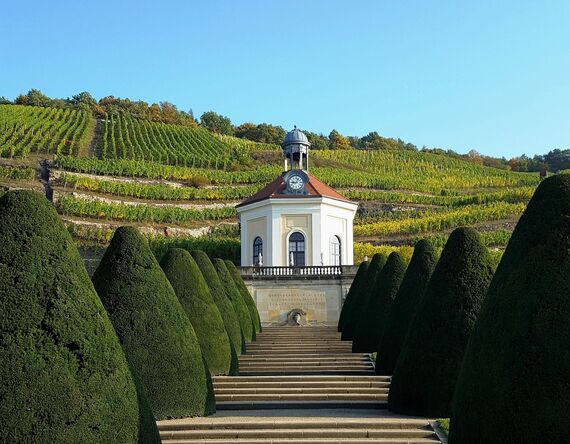 Immobilienmakler Radebeul – Wohnen in den Weinbergen