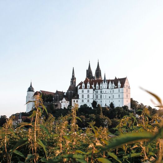 Immobilien in Meißen – Wohnen nahe Albrechtsburg