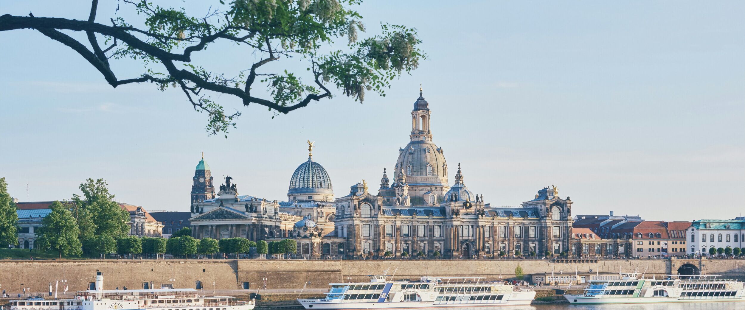 Immobilien Dresden Elbufer