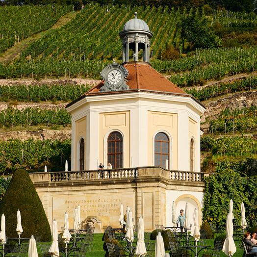 Immobilienmakler Radebeul – Wohnen in den Weinbergen