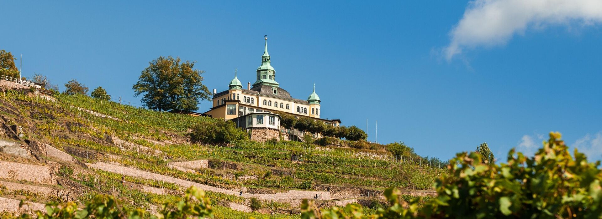 Immobilienmakler Radebeul – Wohnen in den Weinbergen