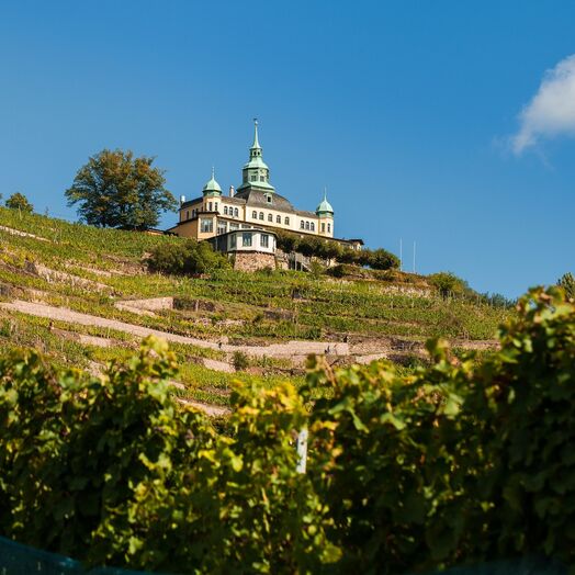 Immobilienmakler Radebeul – Wohnen in den Weinbergen