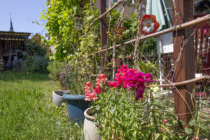 Detail Garten